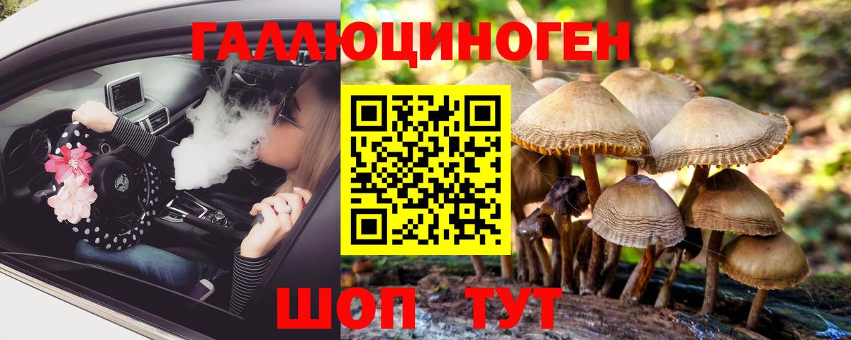 Строитель  Псилоцибиновые грибы GOLDEN TEACHER  Вход с VPN 